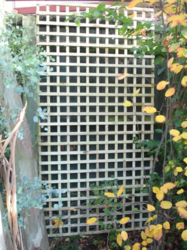 County Screen