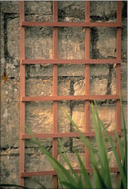 Square Trellis